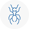 Ant Removals In Eastwood