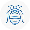 Bed Bug Extermination In Eastwood