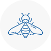 Bee Nest Removal Eastwood