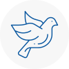 Bird Prevention Eastwood