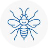 Eastwood Hornet Nest Removals