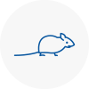 Mice Exterminators In Eastwood