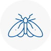 Moth Control Specialists In Eastwood