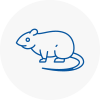 Rat Control Eastwood