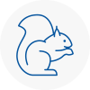 Eastwood Rodent Removals
