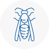 Eastwood Wasp Nest Removal